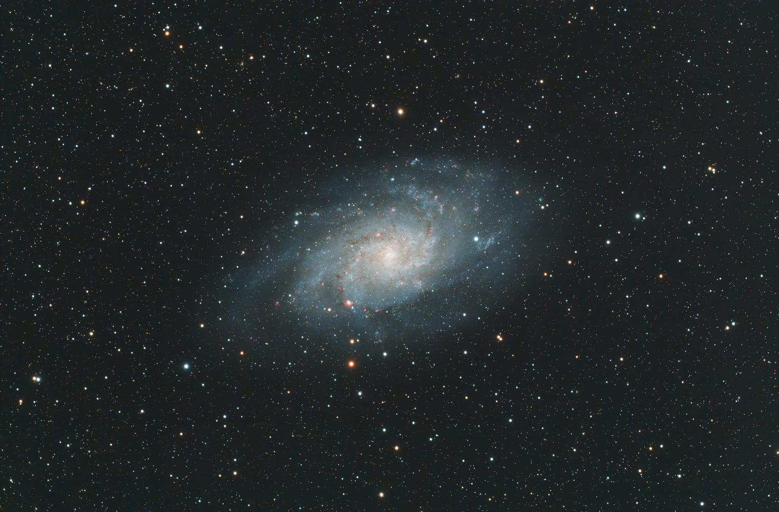 M33