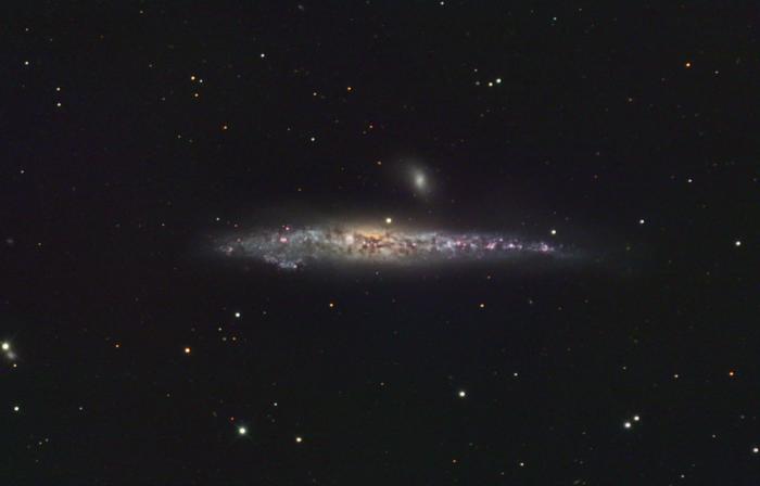 The Whale Galaxy