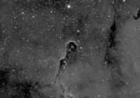 Elephant Nebula