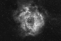 The Rosette Nebula